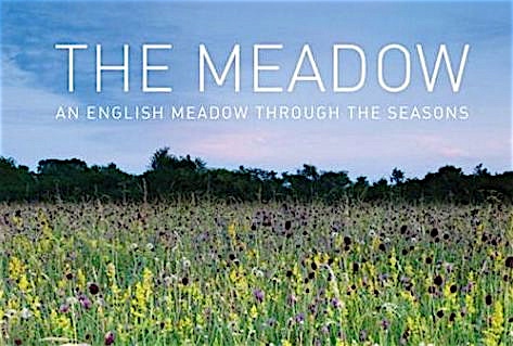 Book Review An English Meadow Through The Seasons