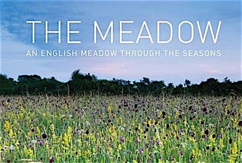 Book Review An English Meadow Through The Seasons