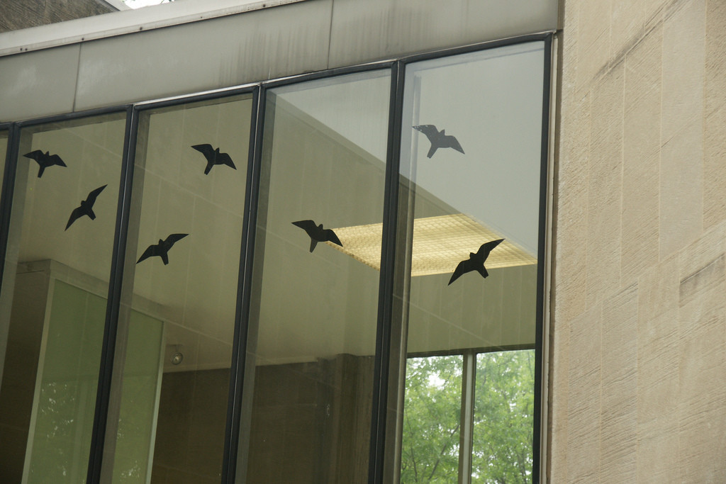 Seven decals of black-colored birds in silhouette stuck on a series of tall windows.