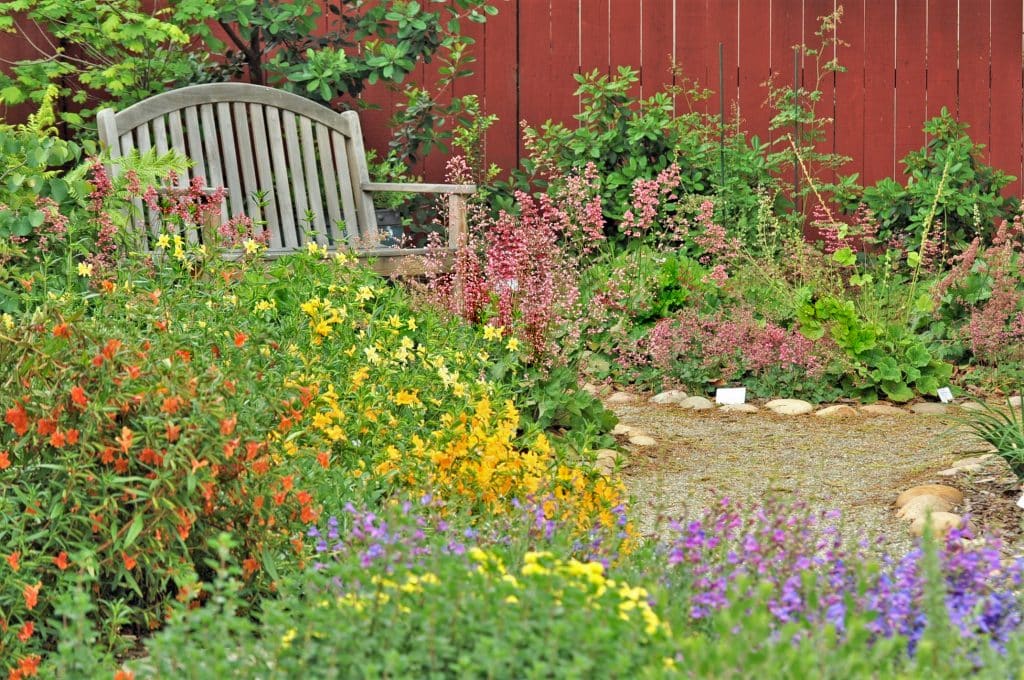 The basics of a backyard wildlife habitat Wildlife
