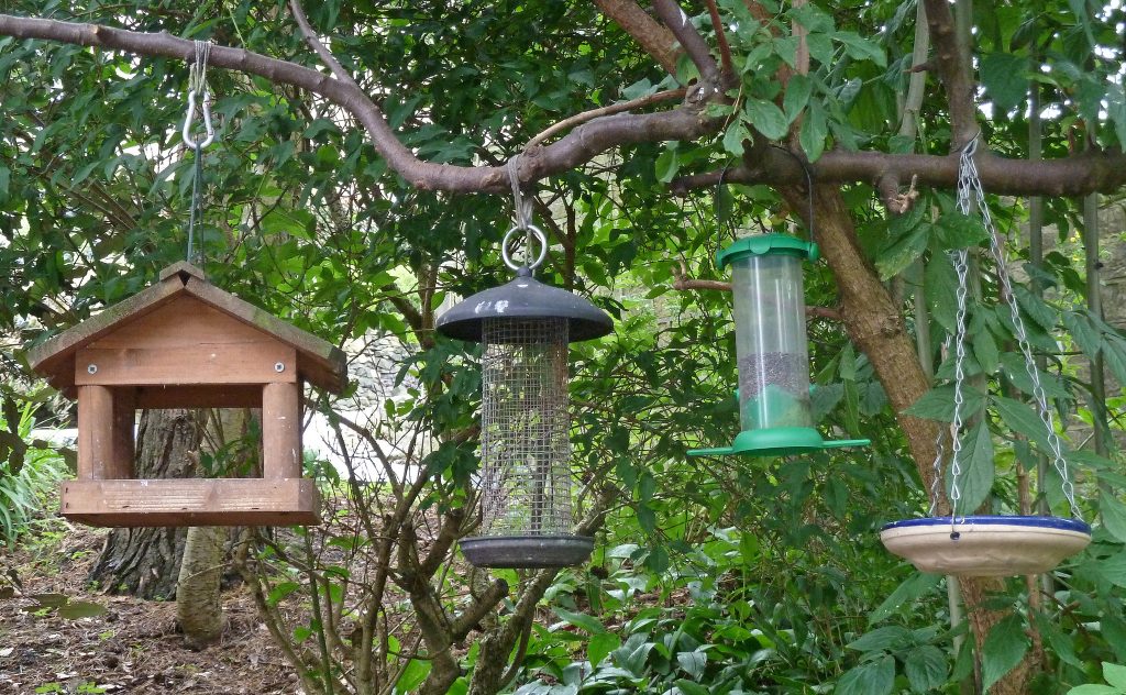 Types Of Bird Feeders Welcome Wildlife