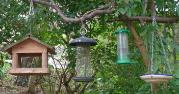 Different kinds of bird feeders hanging side by side