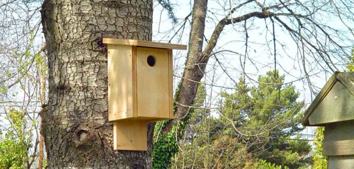 Newly built birdhouse mounted on a tree trunk.