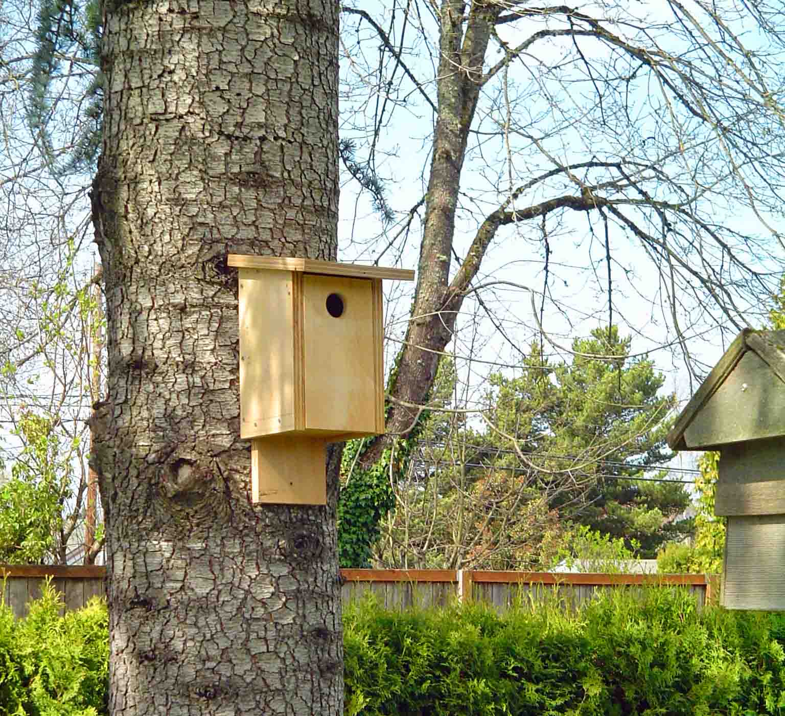 Build a birdhouse, it's easy - Welcome Wildlife