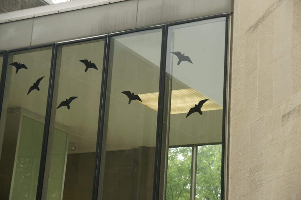 Three large windows with two black decals of birds of prey on each window