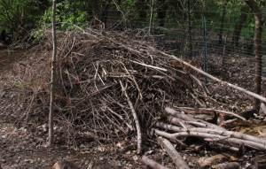 A large brush pile build up with larger and smaller branches and twigs.