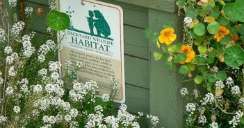 Sign on a fence denoting that what lies beyond is land for a wildlife habitat.