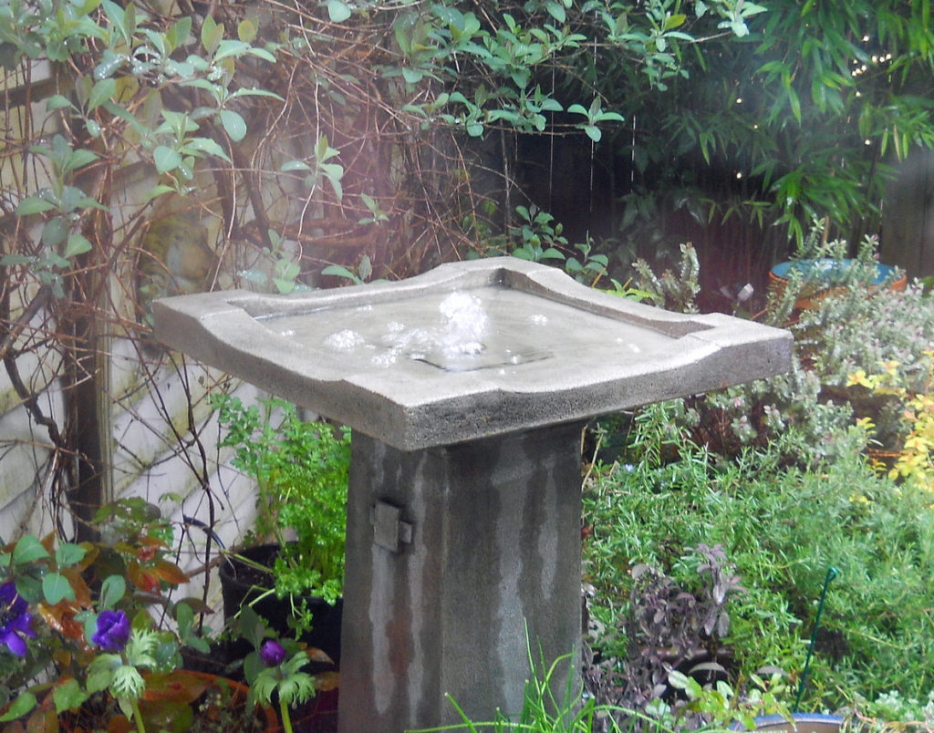 Image of birdbath with bubbling water.