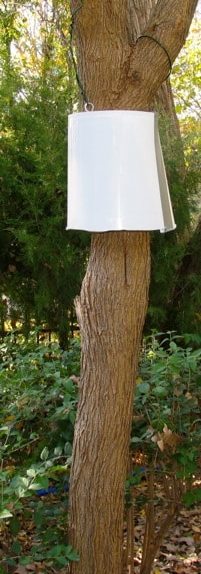 White bucket suspended around a tree trunk.