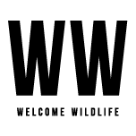 www.welcomewildlife.com