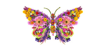 A colorful collage of pretty flowers in the shape of a butterfly with its wings spread open.