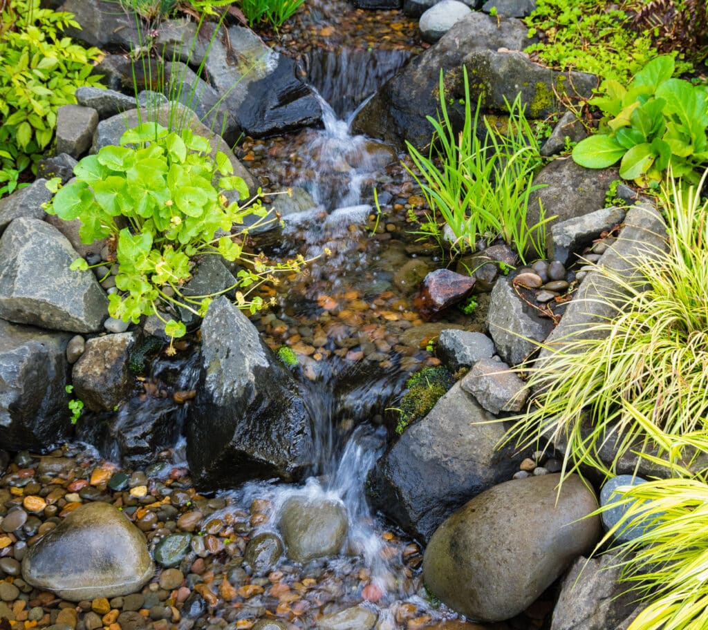 Attract more birds with water that moves - Welcome Wildlife