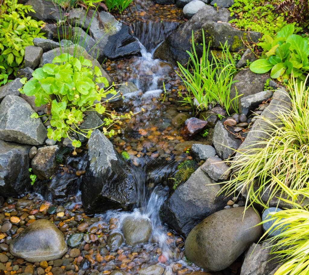 A gently bubbling brook with various sizes of rocks and pebbles lining the sides and bottom.