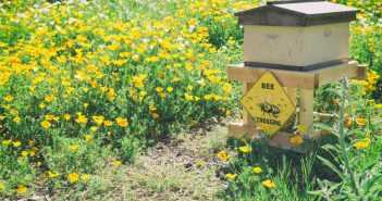 Interview with Dale Russell, beekeeper