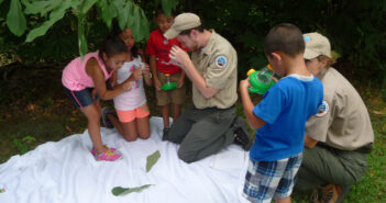 Four young children and two park rangers look at insects.
