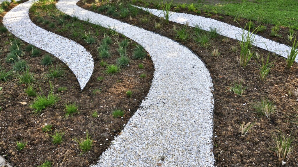 A gravel garden path winds artistically through a plant of small green plants.