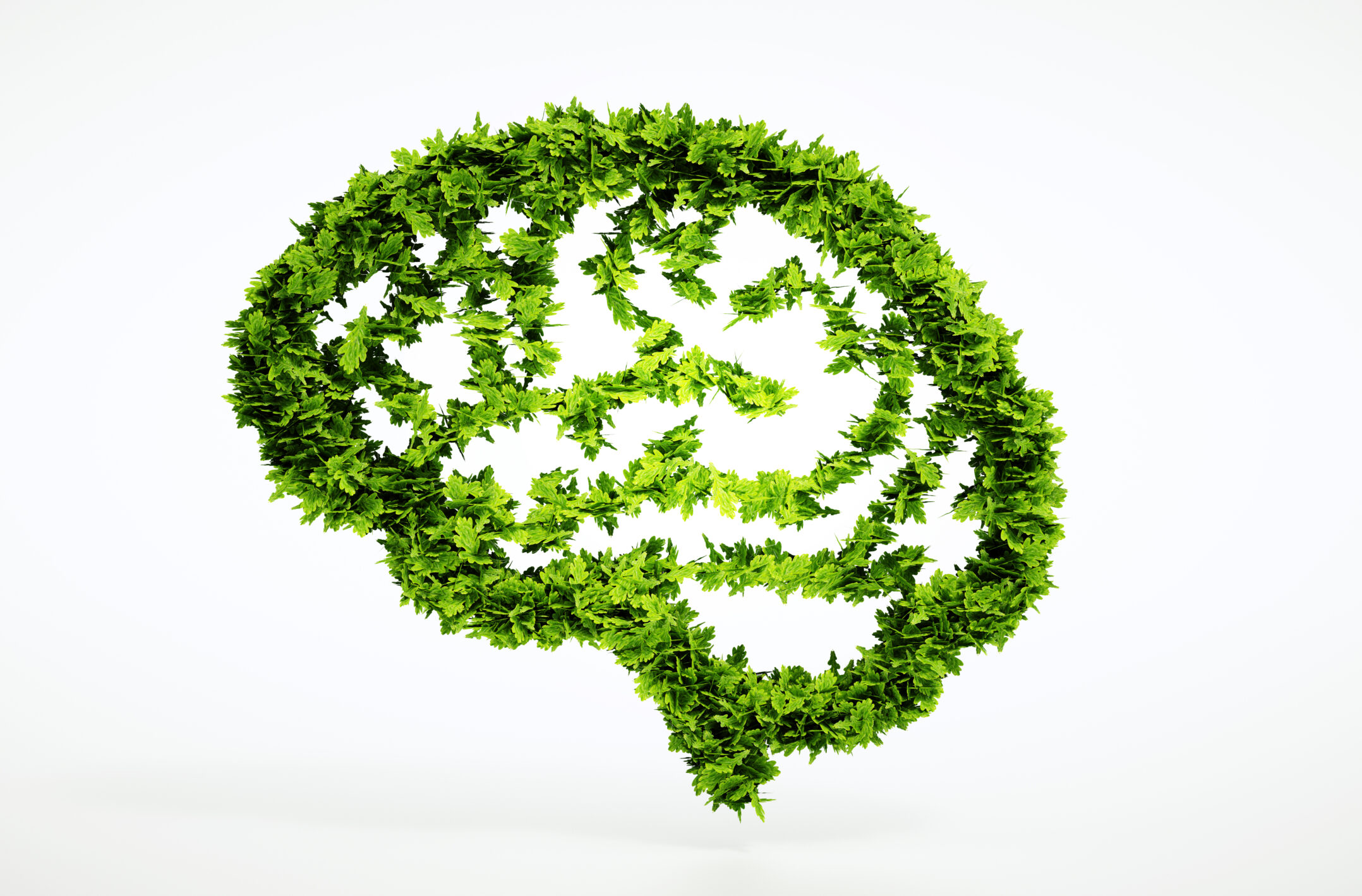An illustration of a human brain using green plant leaves to lay out its design.